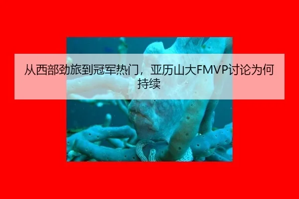 从西部劲旅到冠军热门，亚历山大FMVP讨论为何持续